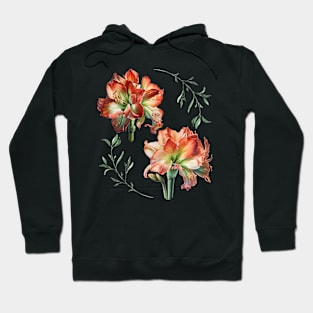 Amaryllis Blooms Hoodie